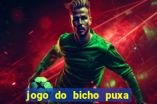 jogo do bicho puxa de dona maria